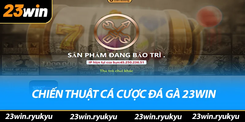 Đá Gà 23win - Địa Điểm Cá Cược Trực Tuyến Hấp Dẫn Năm 2026 - QENIX Đá Gà 23win - Địa Điểm Cá Cược Trực Tuyến Hấp Dẫn Năm 2026 - QENIX