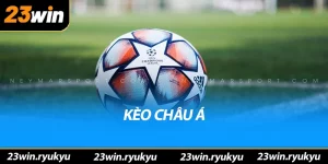 Blog 23win - Trang tổng Hợp Các Trò Chơi Casino Nổi Bật - QENIX