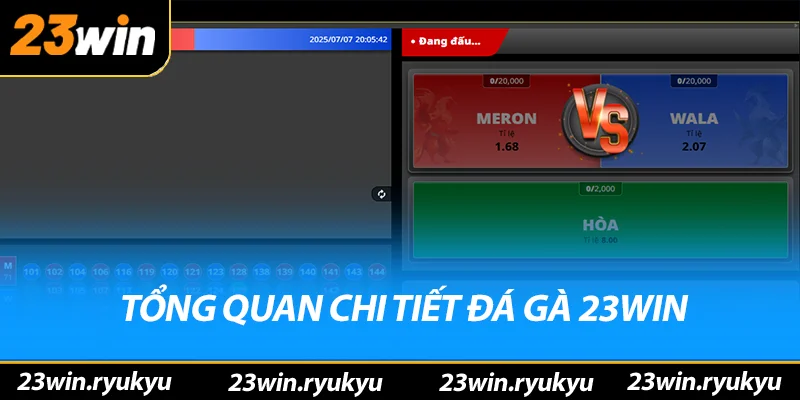 Đá Gà 23win - Địa Điểm Cá Cược Trực Tuyến Hấp Dẫn Năm 2026 - QENIX Đá Gà 23win - Địa Điểm Cá Cược Trực Tuyến Hấp Dẫn Năm 2026 - QENIX