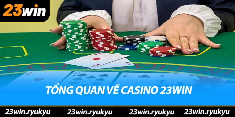 Casino 23win – Nơi Cá Cược Trực Tuyến Hàng Đầu 2026 - QENIX