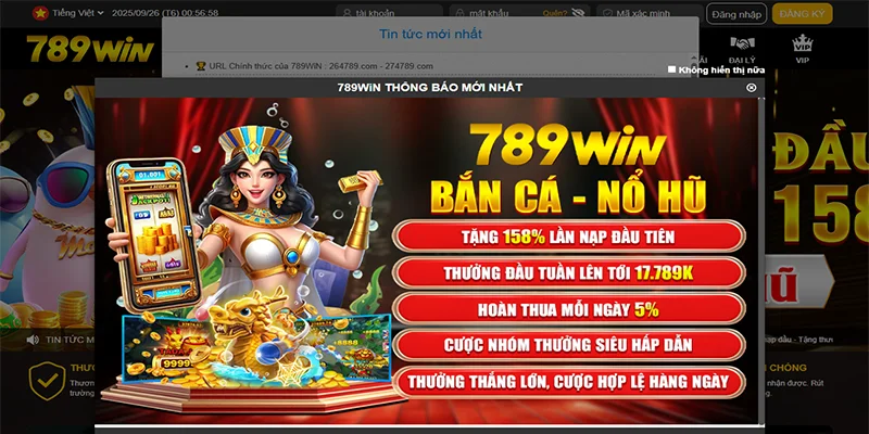 789win – Nhà cái trực tuyến uy tín, đa dạng sản phẩm giải trí - QENIX