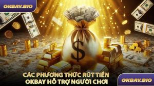 Hướng Dẫn - OKBAY - QENIX