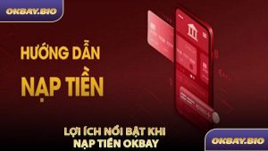 Hướng Dẫn - OKBAY - QENIX