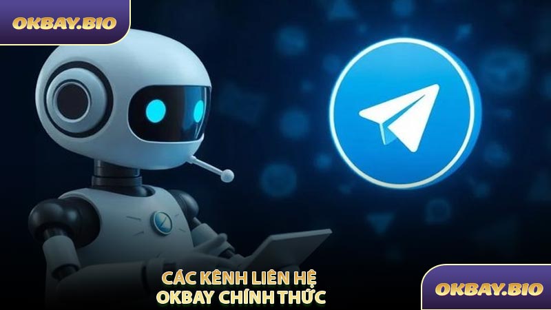 Liên Hệ OKBAY - Hỗ Trợ Người Chơi Mọi Lúc Mọi Nơi - QENIX