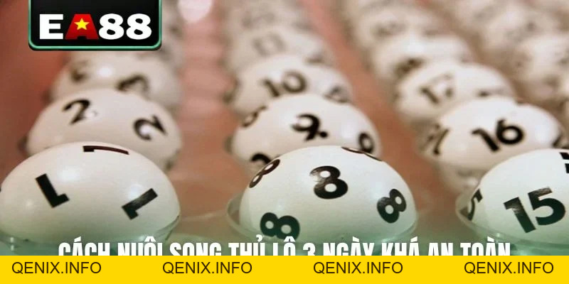Cách Nuôi Song Thủ Lô 3 Ngày Bất Bại Từ Cao Thủ Chốt Số - QENIX