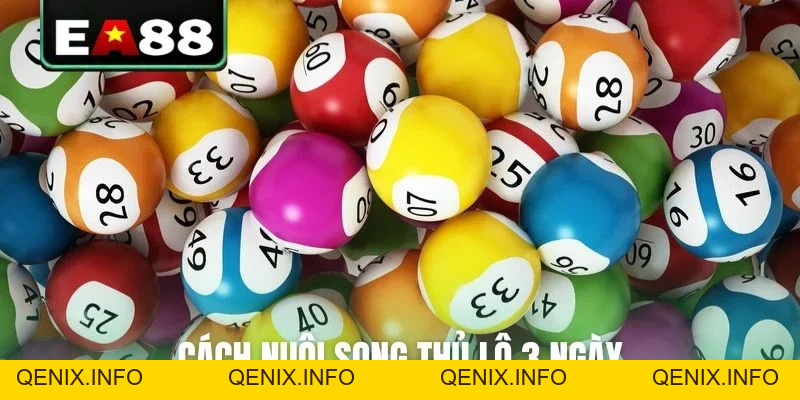 Xổ Số EA88 - Sảnh Cược Lô Đề Trực Tuyến Thưởng Hậu Hĩnh - QENIX