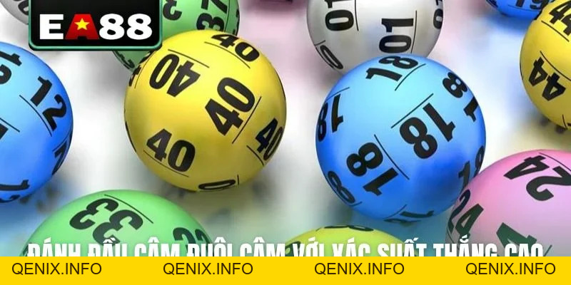 Bật Mí Cách Chơi Bạch Thủ Lô Bách Phát Bách Trúng Ít Ai Biết - QENIX