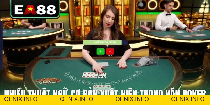 Cách Chơi Poker Chuẩn Quốc Tế Dành Cho Tân Thủ Dễ Hiểu - QENIX