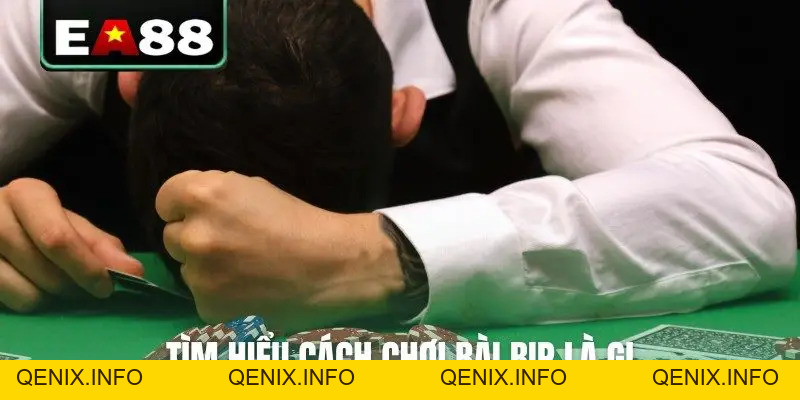 4+ Cách Chơi Bài Bịp Cực Hiệu Quả Có Thể Bạn Chưa Biết - QENIX