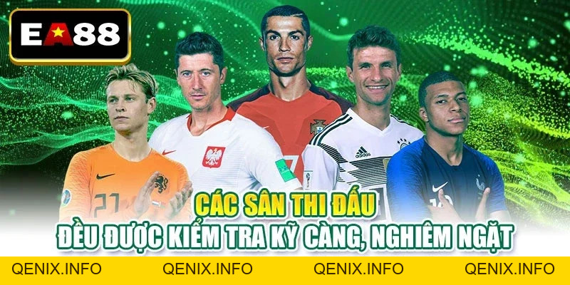 Địa Điểm Tổ Chức World Cup 2026 - Các Sân Vận Động Nổi Bật - QENIX